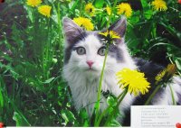 «Сплетите мне венок!», Алексина Аня (серия из двух работ), 11 лет,