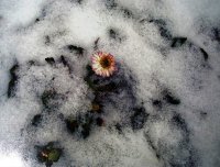 «Жизнь», Синюхова Валерия (серия из шести работ), 14 лет,