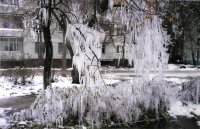 Бежим, торопимся по жизни, как всегда, И в шуме городском чудес не замечаем. И вдруг внезапно в восхищеньи замираем: Хрустальной Сказкой сделалась вода! Забудь о суете, остановись И волшебству природы удивись! // «Хрустальная Сказка», Солодова Юлия (серия из трёх работ), 11 лет,